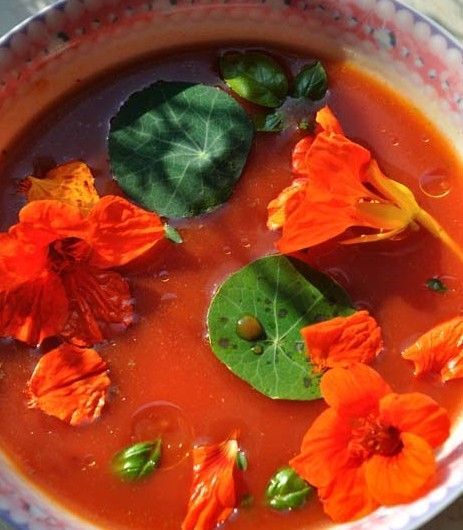 Zupa pomidorowo-nasturcjowa