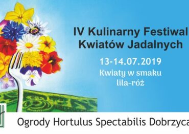 Kulinarny Festiwal Kwiatów Jadalnych już w sobotę