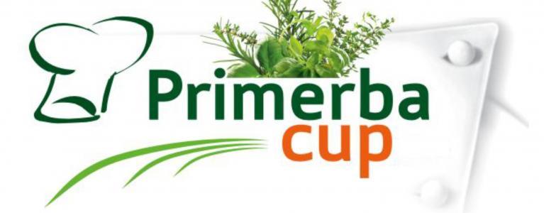 Primerba Cup w 2017 nie odbędzie się