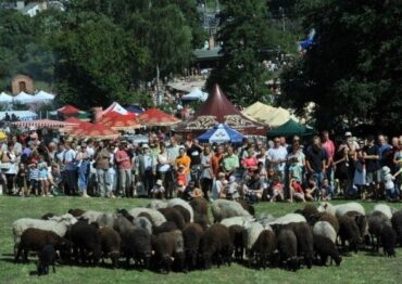 IX edycja Festiwalu Smaku w Grucznie