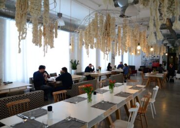 Szparagi w roli głównej w Concordia Taste