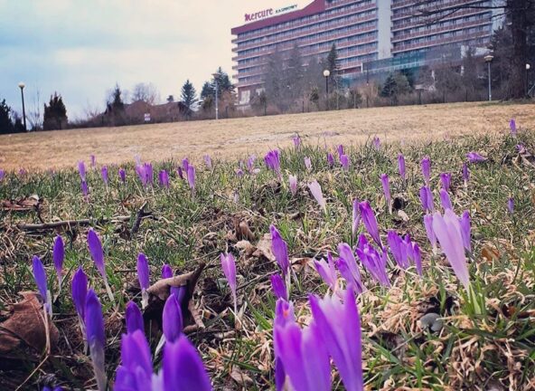 Zakopane: Hotele nadal zamknięte. Czynne kwatery prywatne