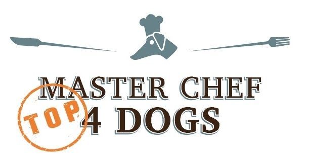 II edycja Master Chef 4 Dogs w Poznaniu