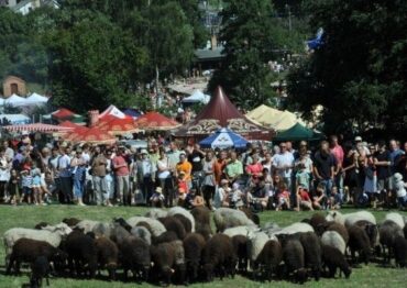 VIII edycja Festiwalu Smaku w Grucznie