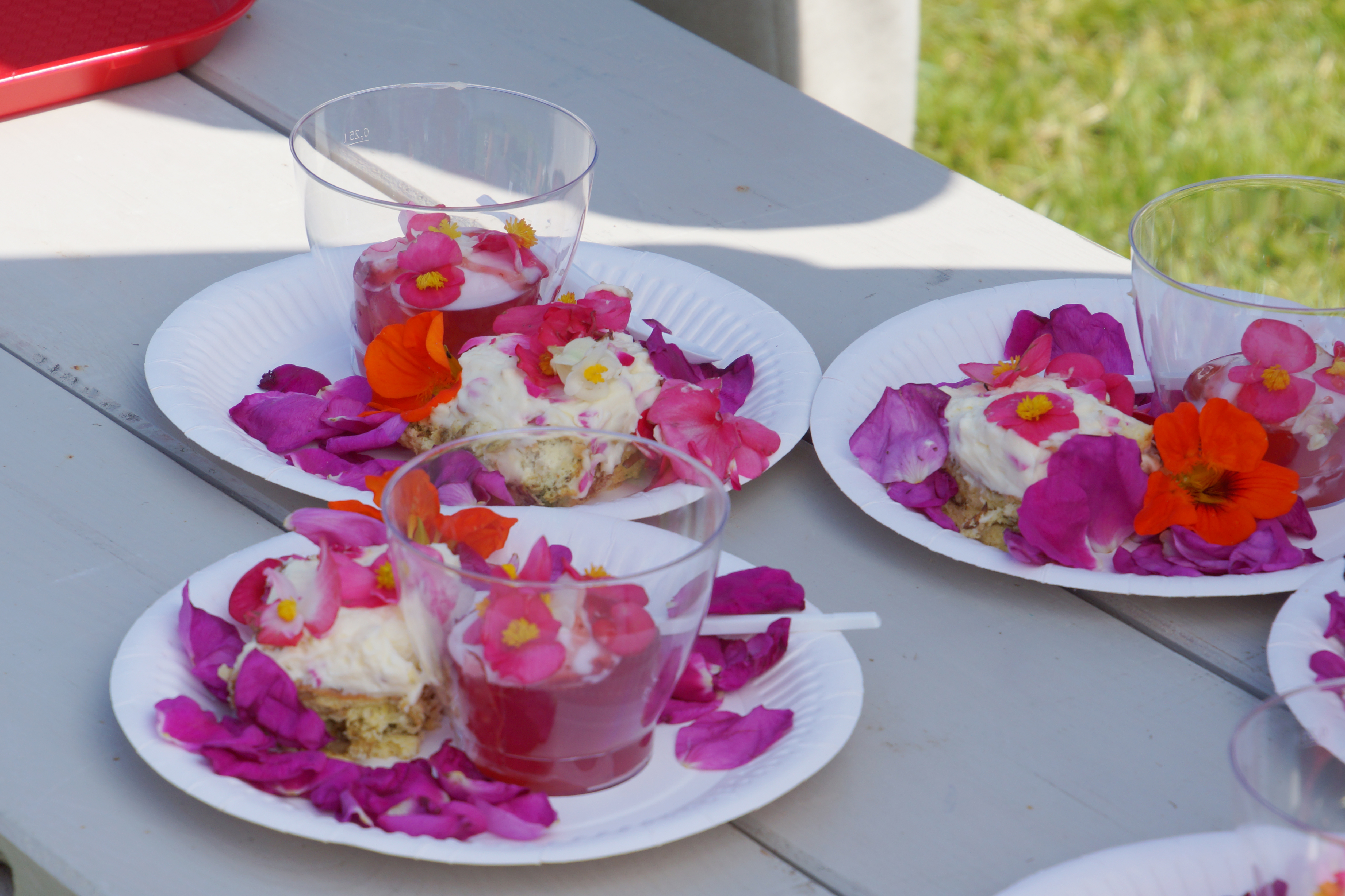 Kulinarny Festiwal Kwiatów Jadalnych za nami
