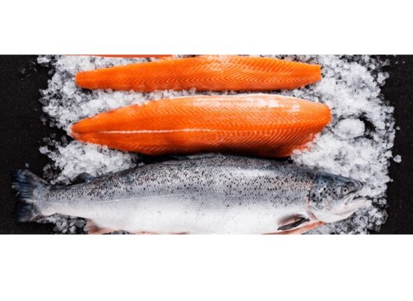 Czas na dziką rybę