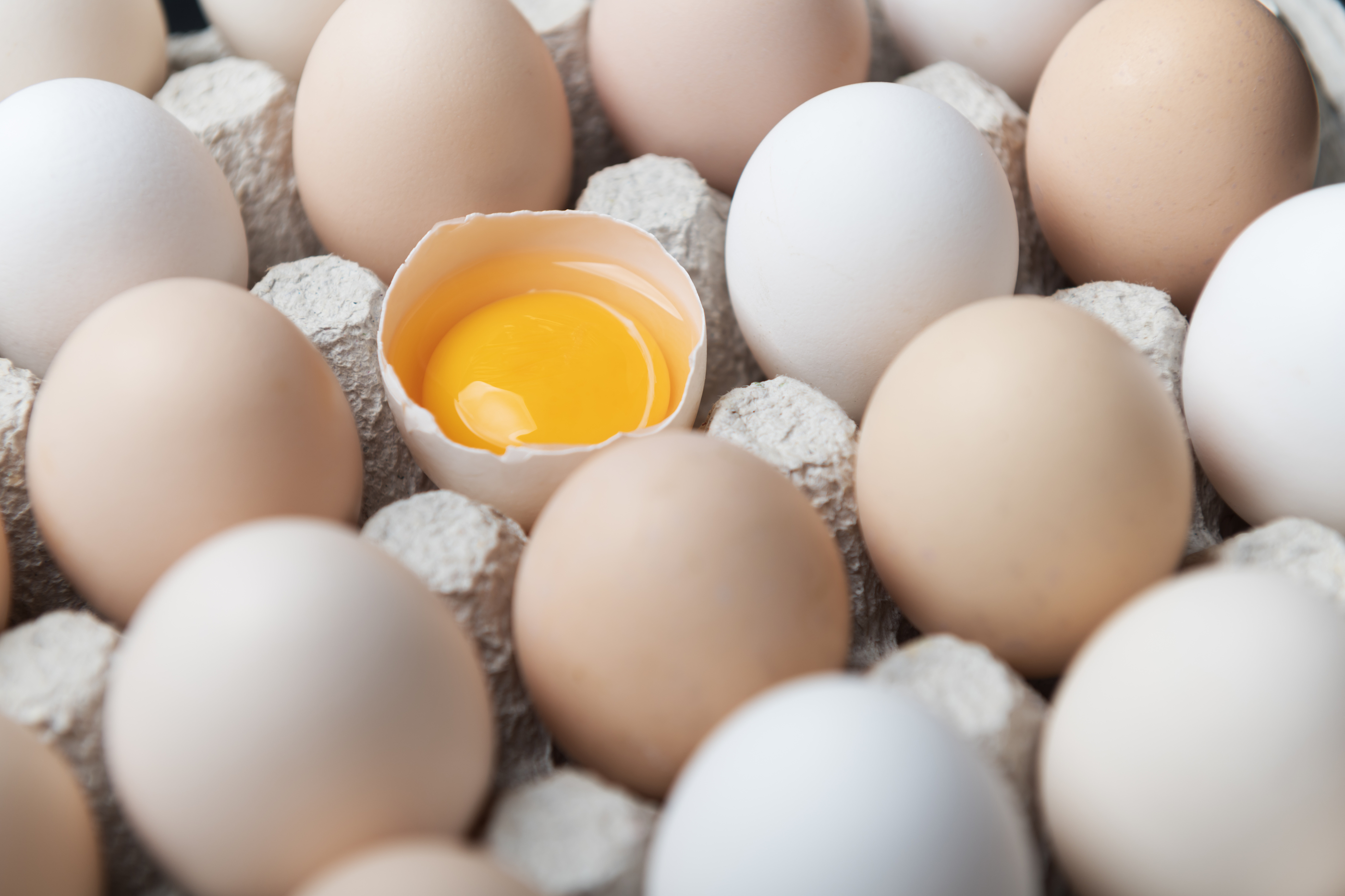 Sieci hotelarskie i hotele wycofują jaja z chowu klatkowego