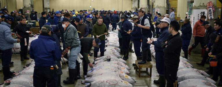 637 tys. dolarów za tuńczyka na słynnej aukcji w Tokio