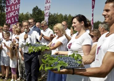 1 lipca – Dzień Polskiej Borówki