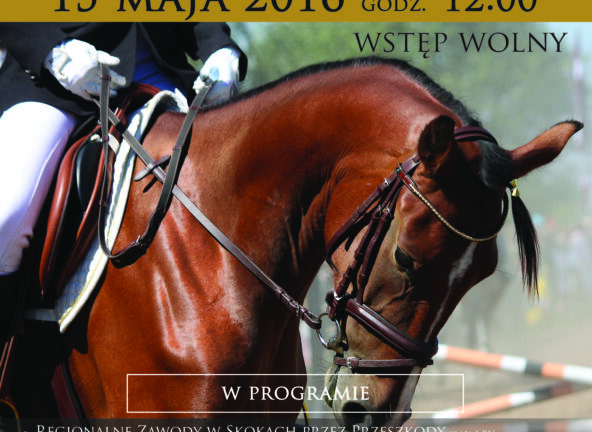 XIV Święto Konia w Mierzęcinie - 15 maja
