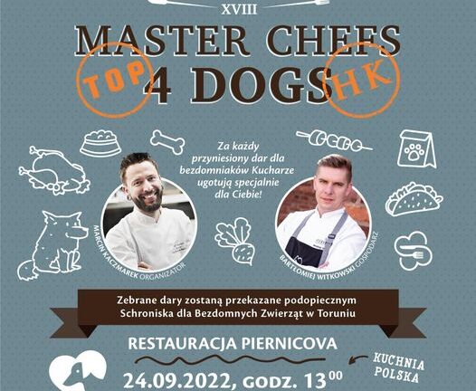 Master Chef 4 Dogs powraca we wrześniu