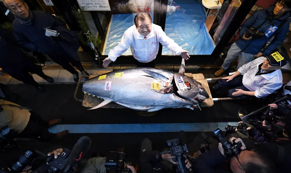 Japonia: Sprzedano najdroższego tuńczyka od 2019 r.