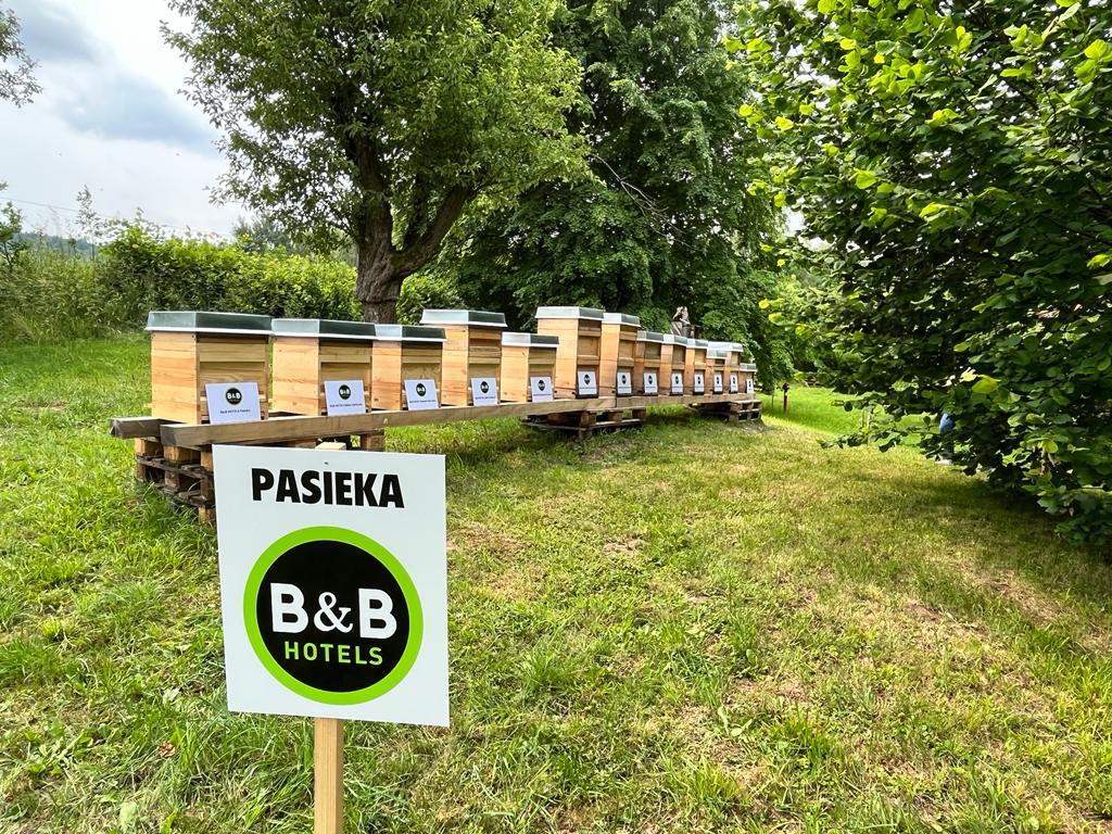 B&B Hotels wspiera populację owadów