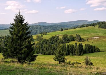 Nie odwołują, ale wybierają inne kierunki. Turystyczny krajobraz po powodzi