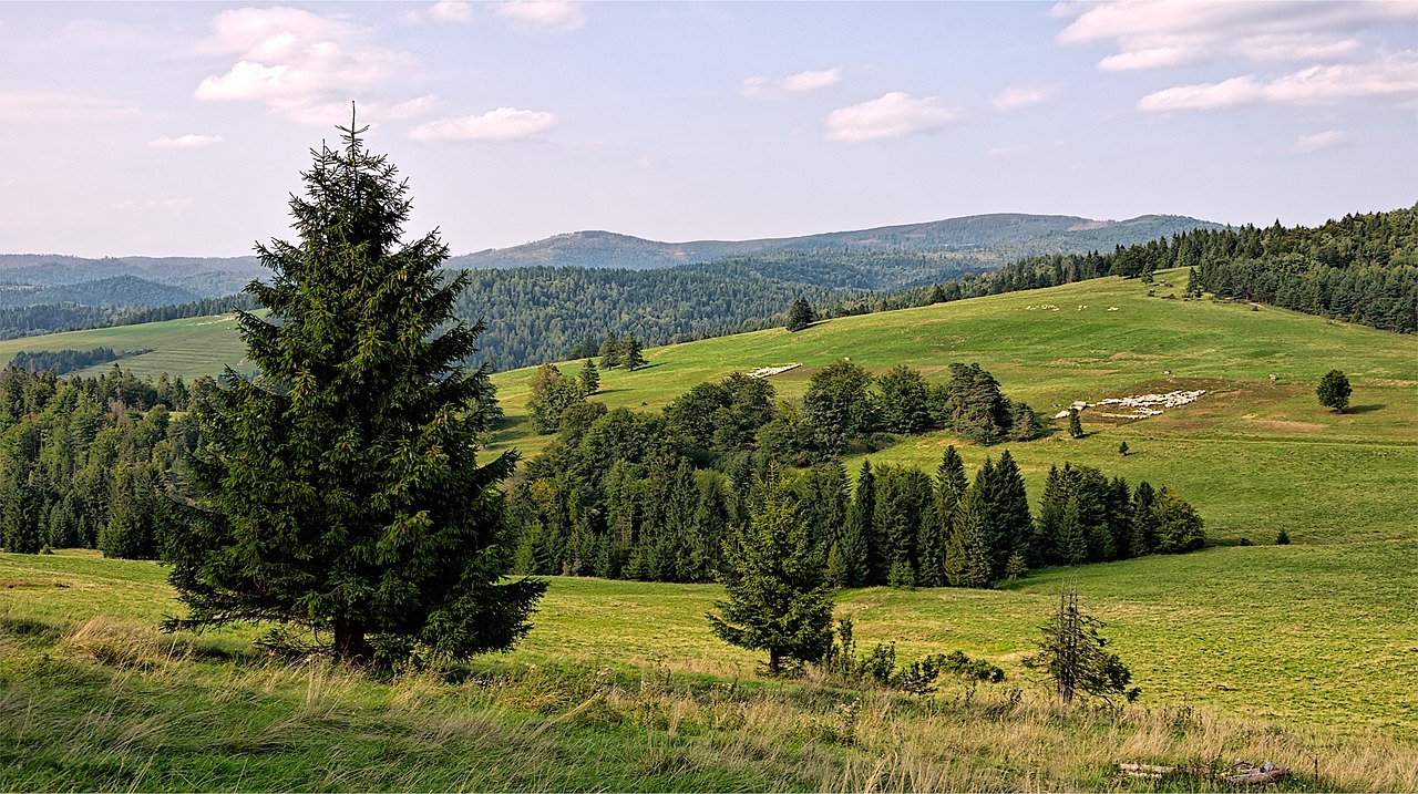 Nie odwołują, ale wybierają inne kierunki. Turystyczny krajobraz po powodzi