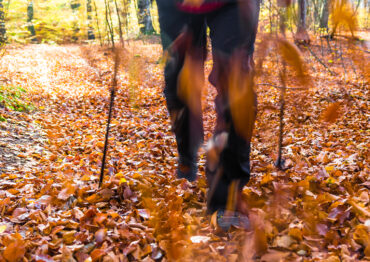 Sportowy weekend z Poradnikiem Restauratora: Nordic walking w jesiennej odsłonie