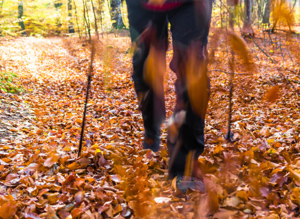 Sportowy weekend z Poradnikiem Restauratora: Nordic walking w jesiennej odsłonie