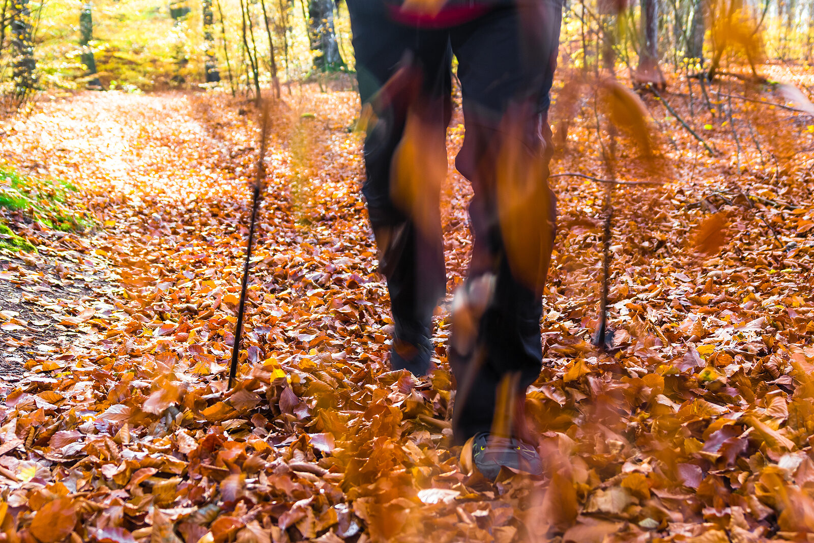 Sportowy weekend z Poradnikiem Restauratora: Nordic walking w jesiennej odsłonie