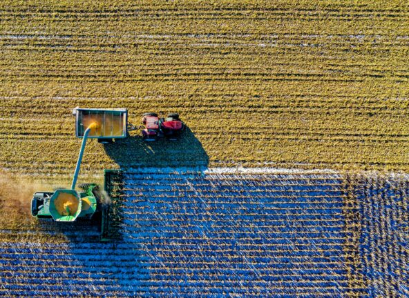 63 % rolników obawia się strat związanych z pogodą