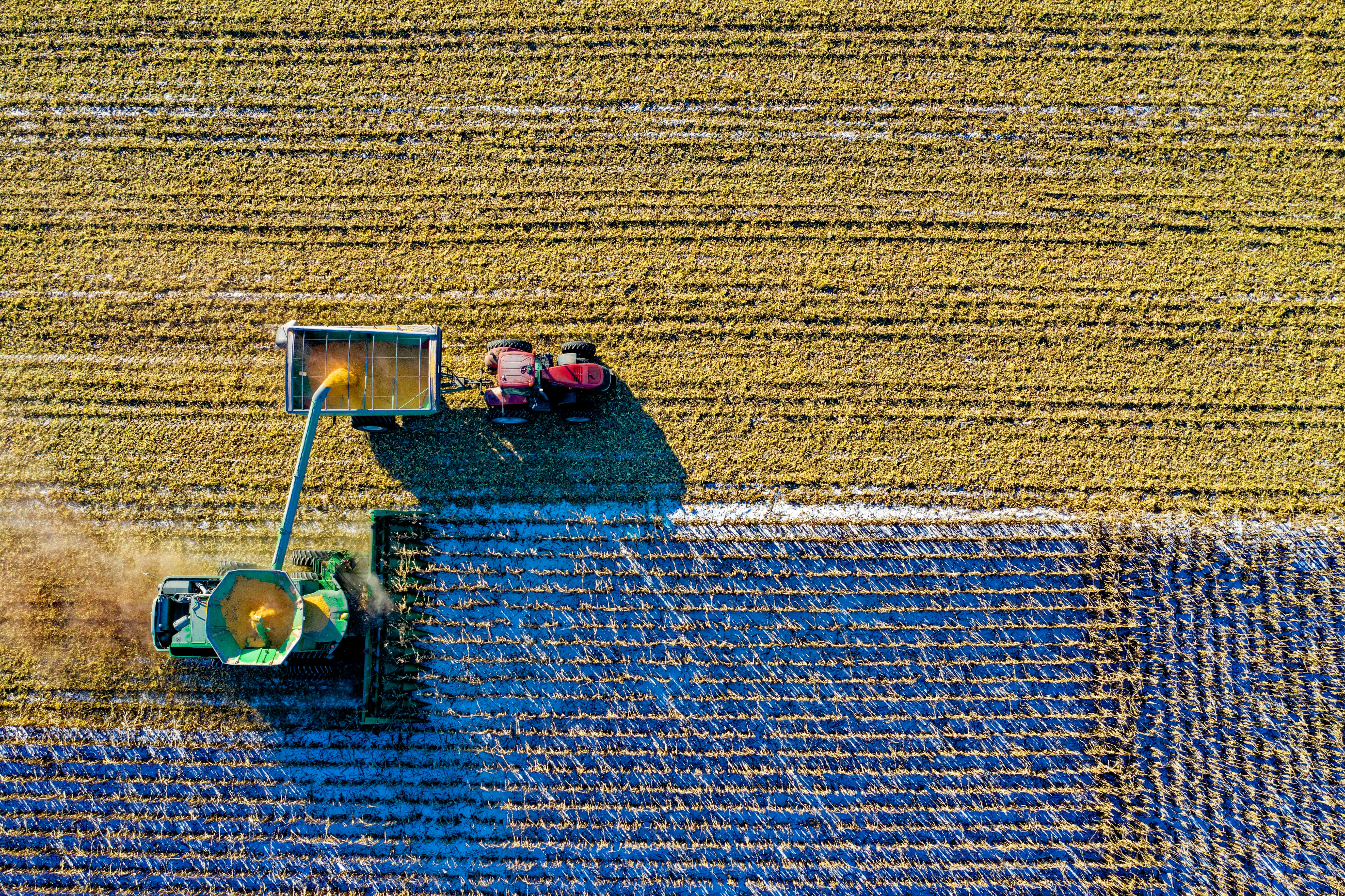63 % rolników obawia się strat związanych z pogodą