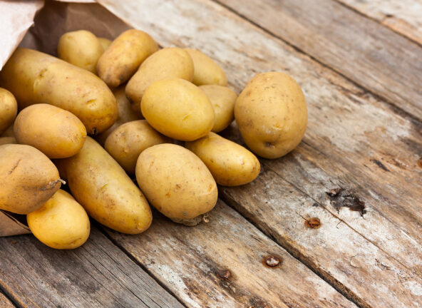 Nadpodaż ziemniaków w Polsce – zbiory przewyższają krajowe spożycie