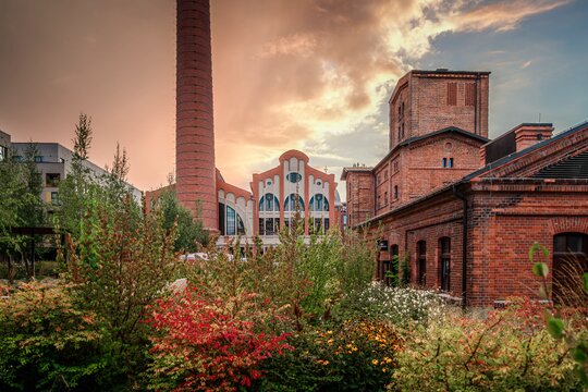 Fuzja poszerza ofertę gastronomiczną